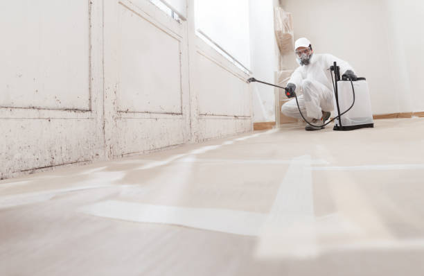 24/7 Emergency Mold Testing experts in Richfield, PA